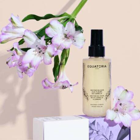 Nectar du soir aux fleurs de Camélia Nectar du soir aux fleurs de Camélia